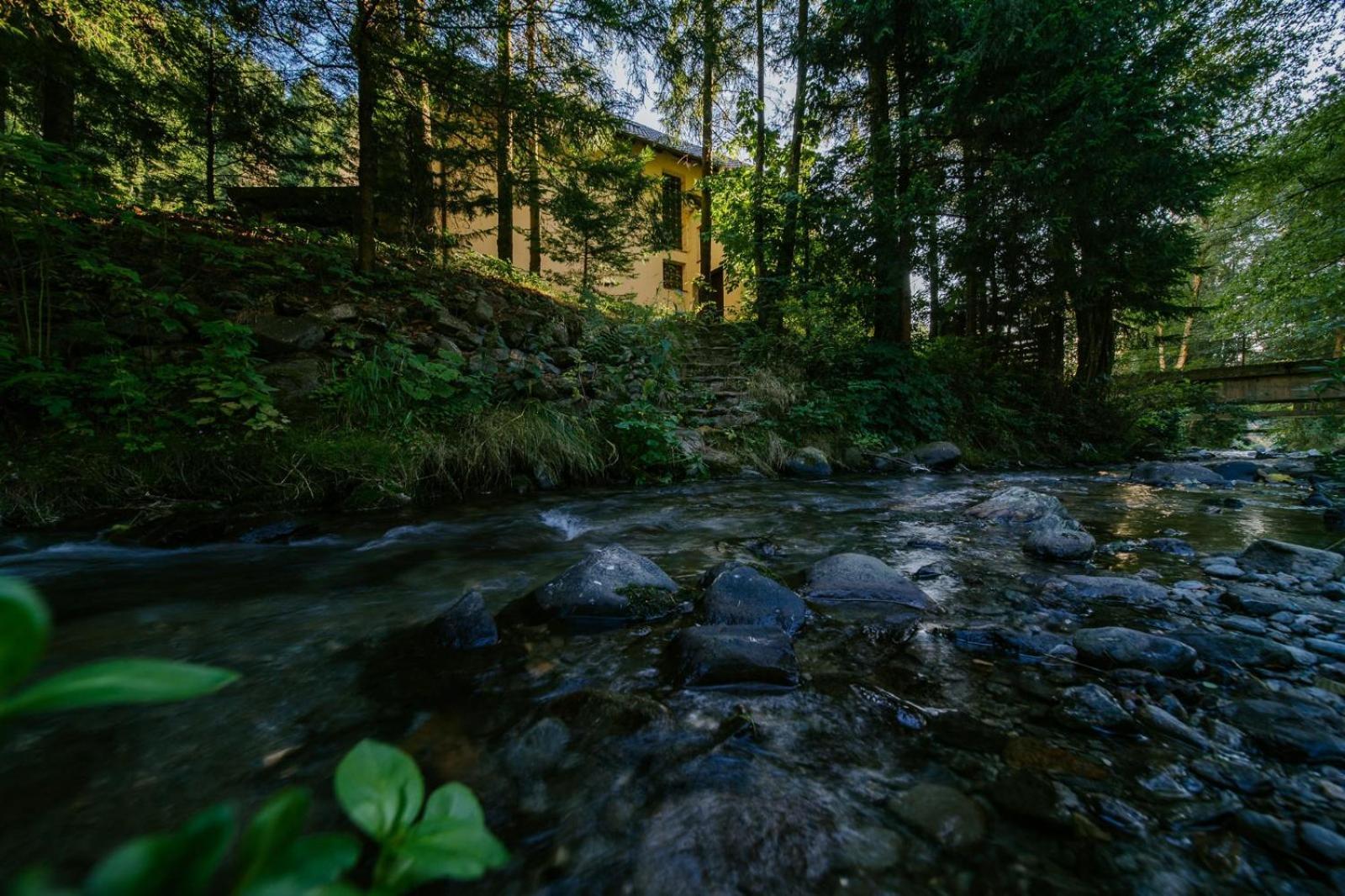 Vila Green & White Moeciu De Sus Dış mekan fotoğraf
