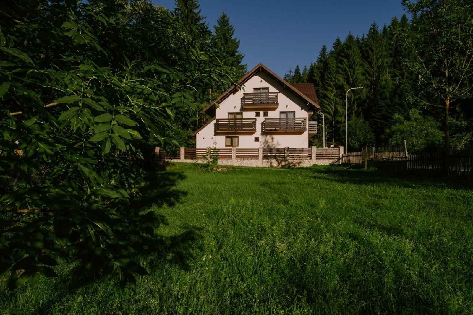 Vila Green & White Moeciu De Sus Dış mekan fotoğraf